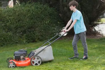 How to Start a Lawn Mowing Business as a Teenager