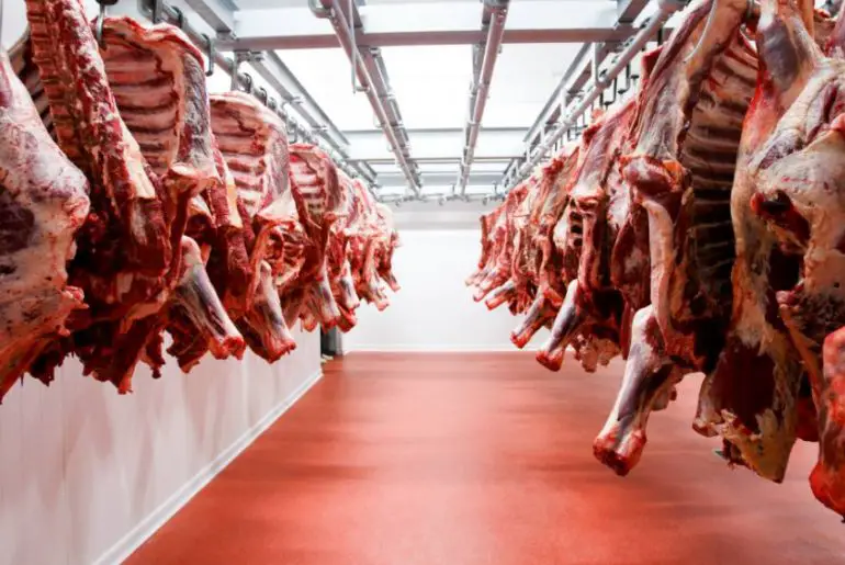 How to Start a Slaughterhouse Business