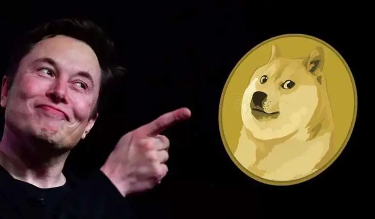 Does Elon Musk Own Dogecoin