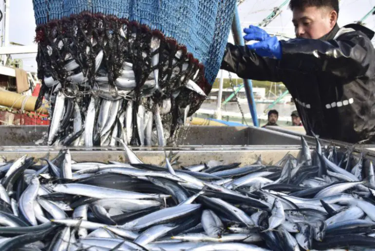 How to Start a Commercial Fishing Business