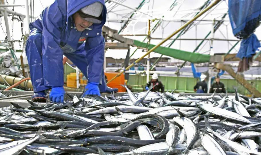 Start a Commercial Fishing Business