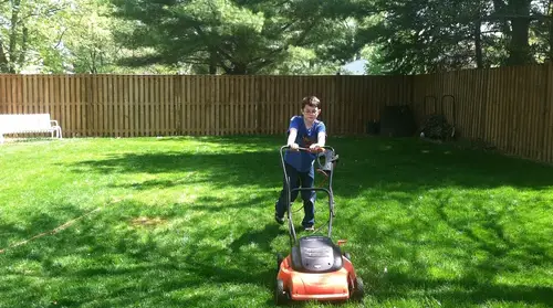 Start a Lawn Mowing Business as a Teenager