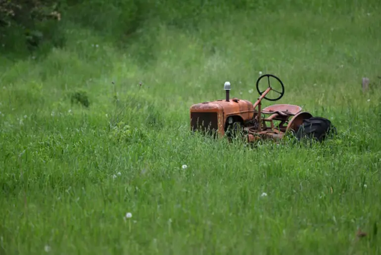 What Equipment does I Need to Start a Lawn Care Business